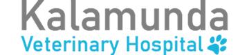 footer-logo
