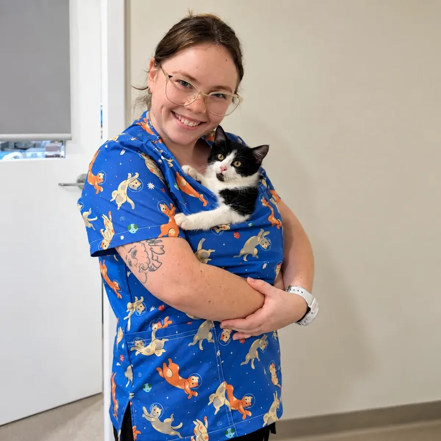 A Kalamunda team member holding a black-and-white cat in a clinic room